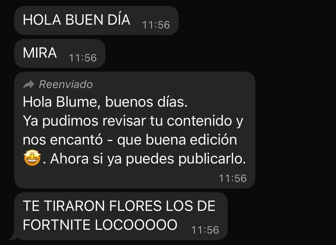 Feedback de los encargados de la campaña Fortnite: «que buena edición»